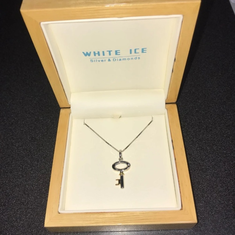 NIB Silver/Gold Key Necklace